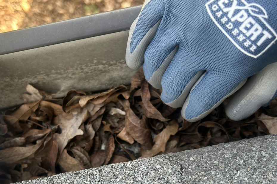 Gutter Cleaning Mooresville IN